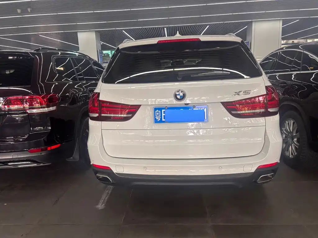 BMW X5 (Import) — миниатюра 10