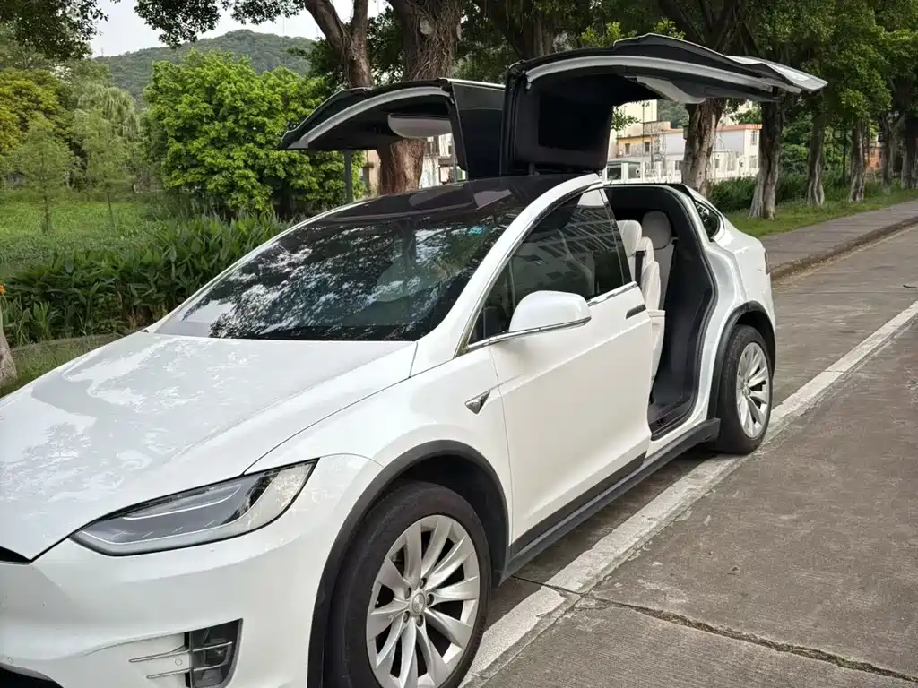 Tesla Model X — миниатюра 9