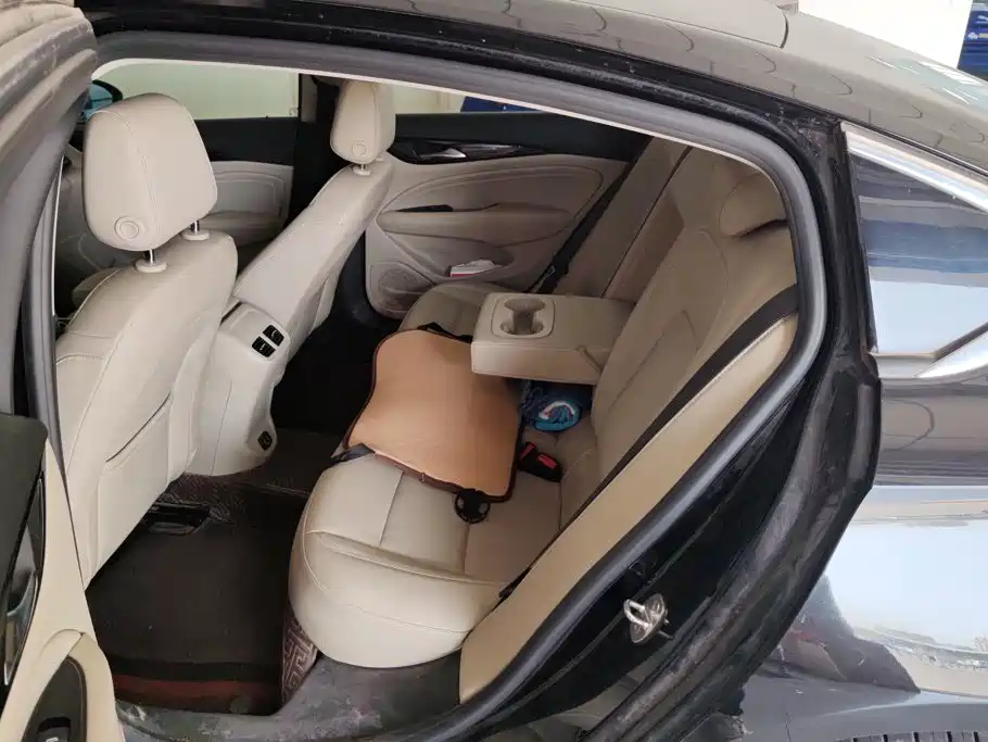 Buick Regal — миниатюра 11