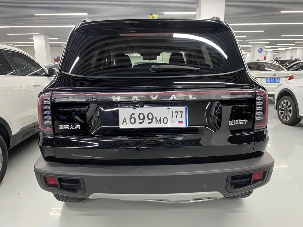 Haval Big Dog — миниатюра 15