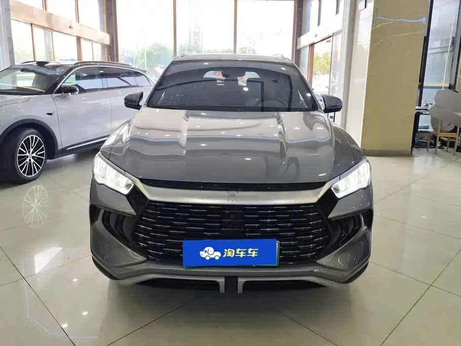 BYD Pro New Energy — миниатюра 2
