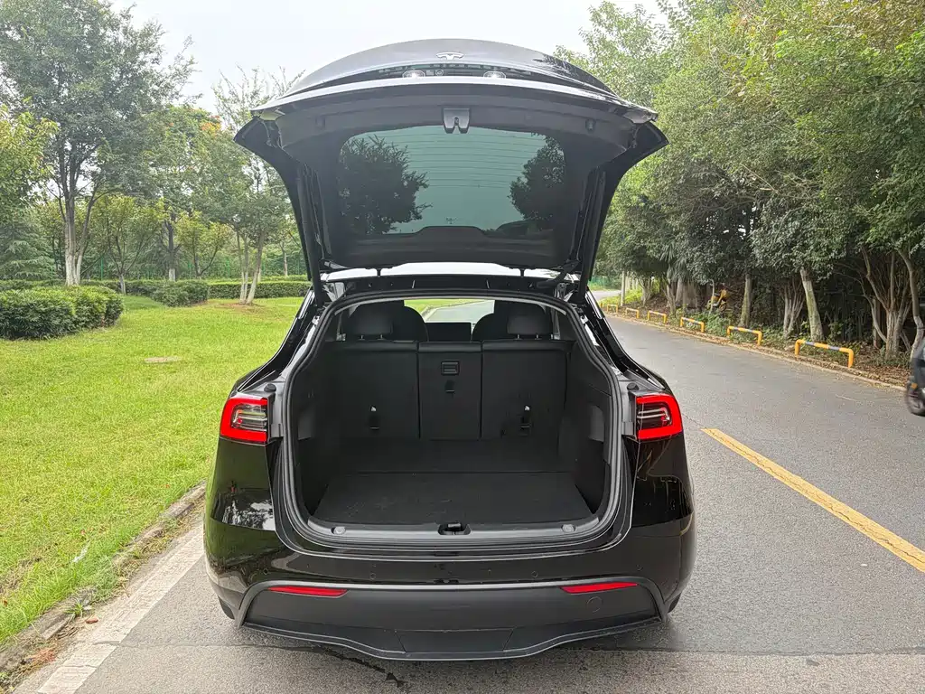 Tesla Model Y — миниатюра 11