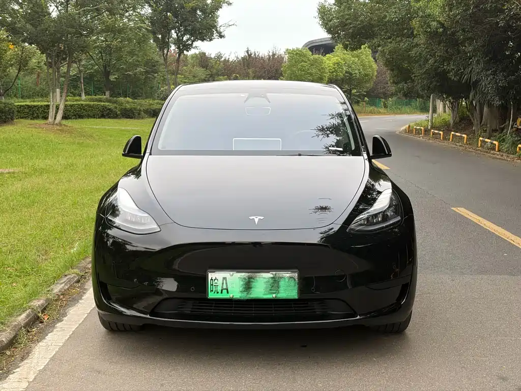 Tesla Model Y — миниатюра 2