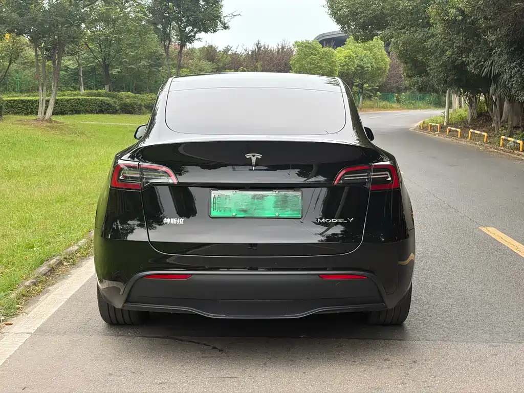 Tesla Model Y — миниатюра 13