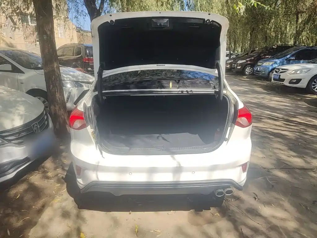 Ford Focus — миниатюра 19