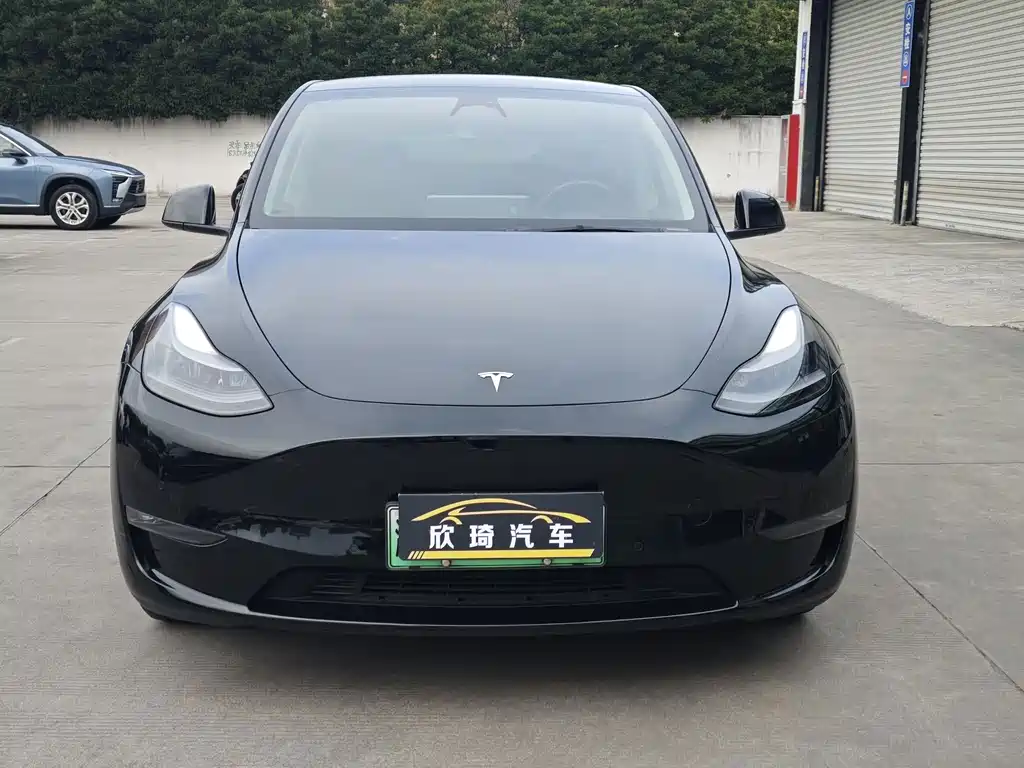 Tesla Model Y — миниатюра 2