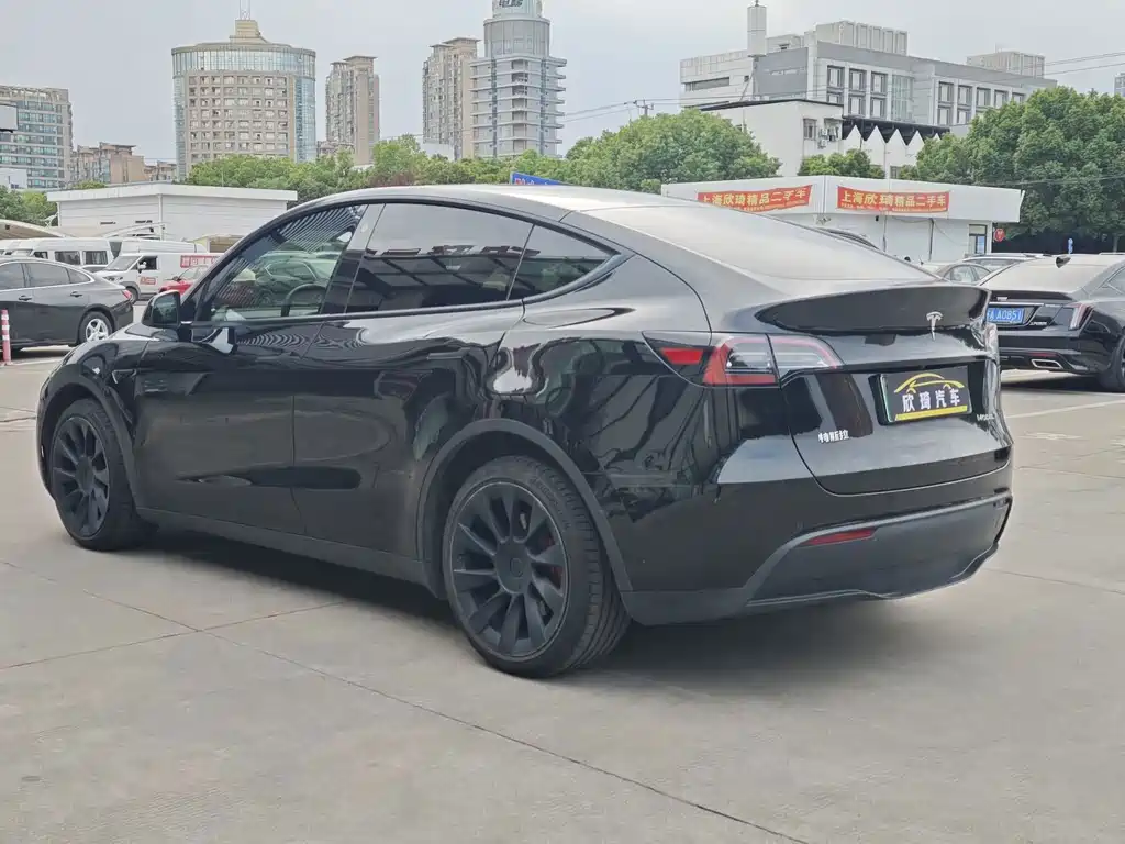 Tesla Model Y — миниатюра 6