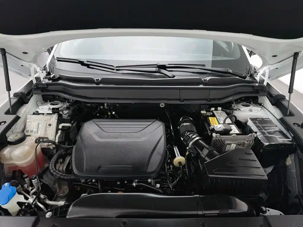 Haval Shenshou — миниатюра 6