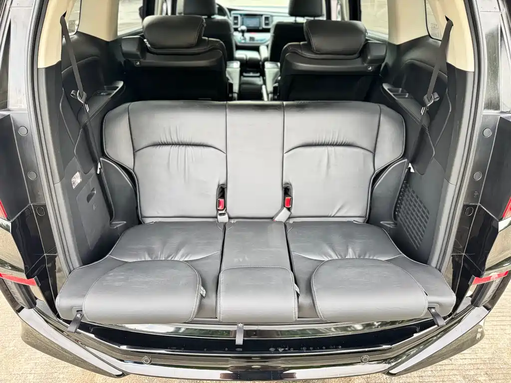 Honda Elysion — миниатюра 28