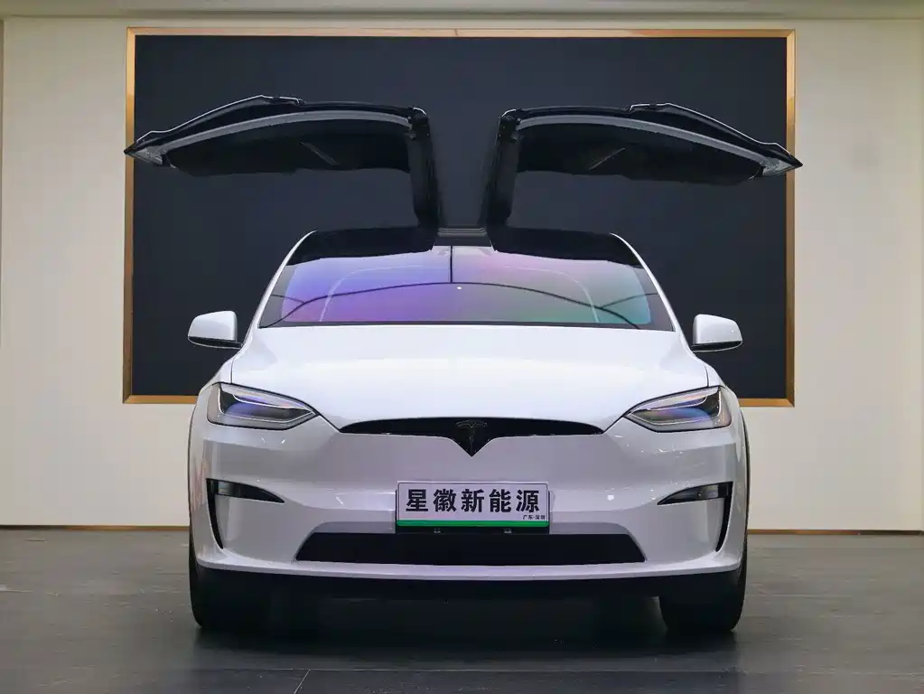 Tesla Model X — миниатюра 2