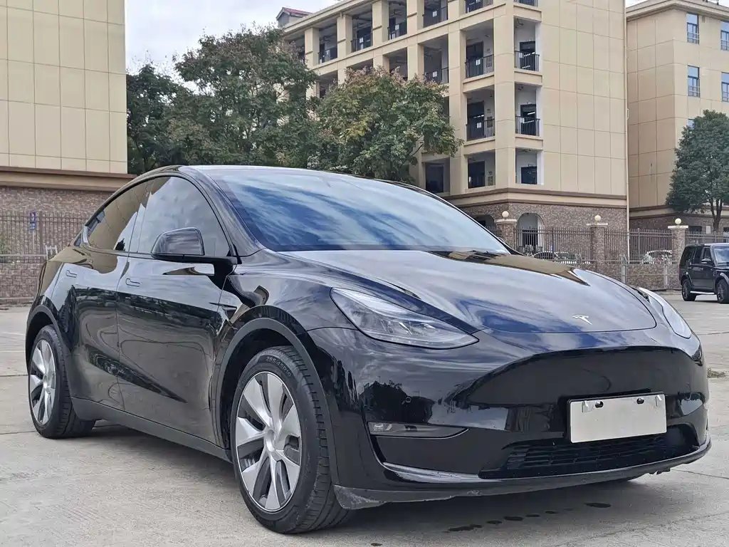 Tesla Model Y — миниатюра 3