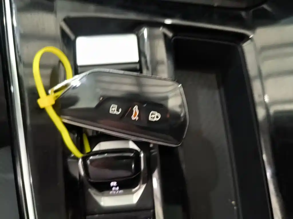 Volkswagen Lamando — миниатюра 6