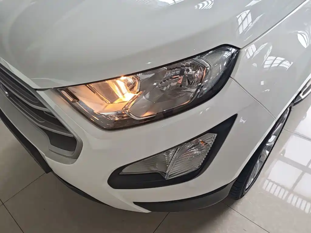 Ford Ecosport — миниатюра 24