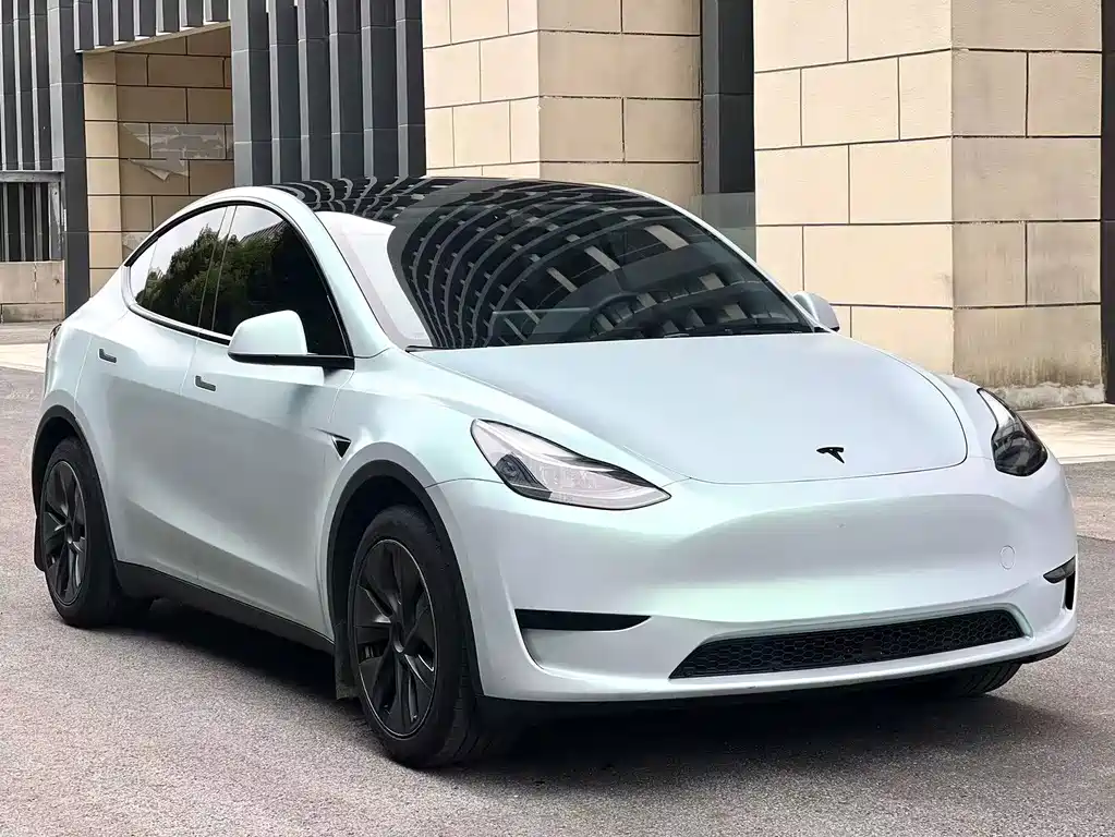 Tesla Model Y — миниатюра 3