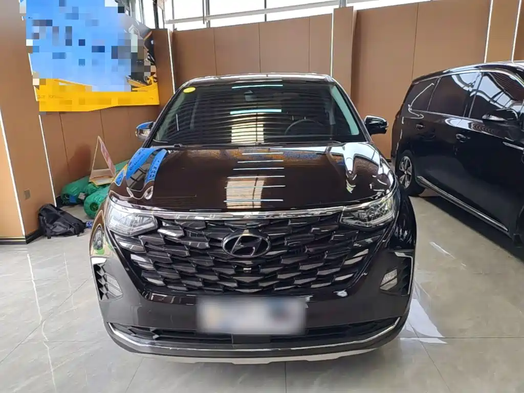 Hyundai Custo — миниатюра 3