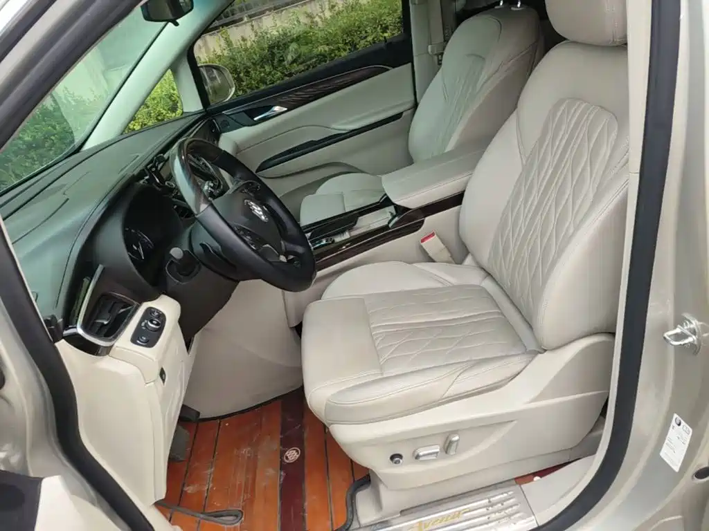 Buick GL8 — миниатюра 15