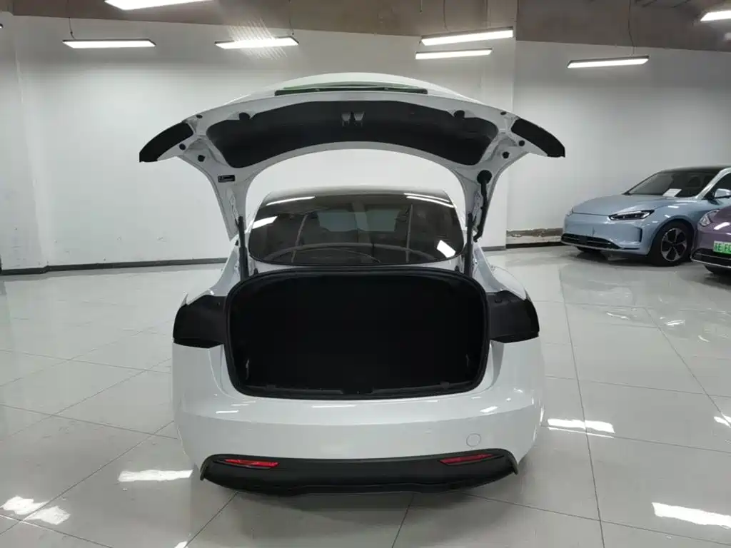 Tesla Model 3 — миниатюра 19