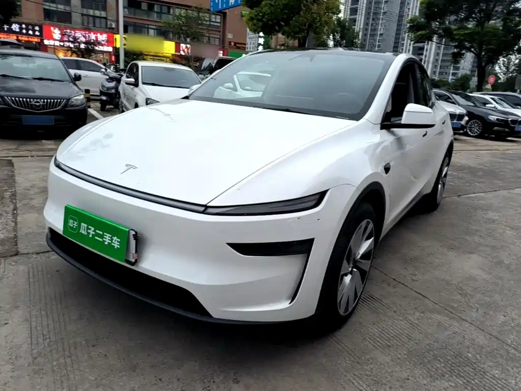 Tesla Model Y — миниатюра 2