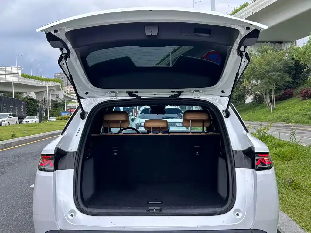 BYD L DM-i — миниатюра 16