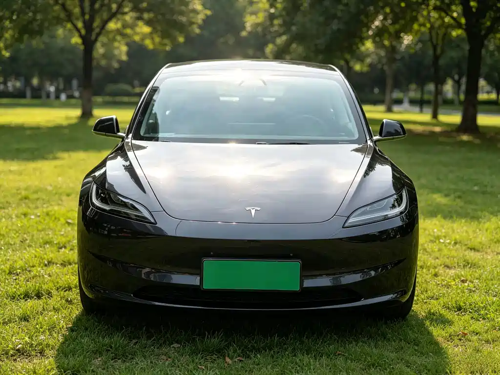 Tesla Model 3 — миниатюра 2