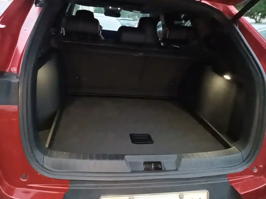 BYD PLUS New Energy — миниатюра 19