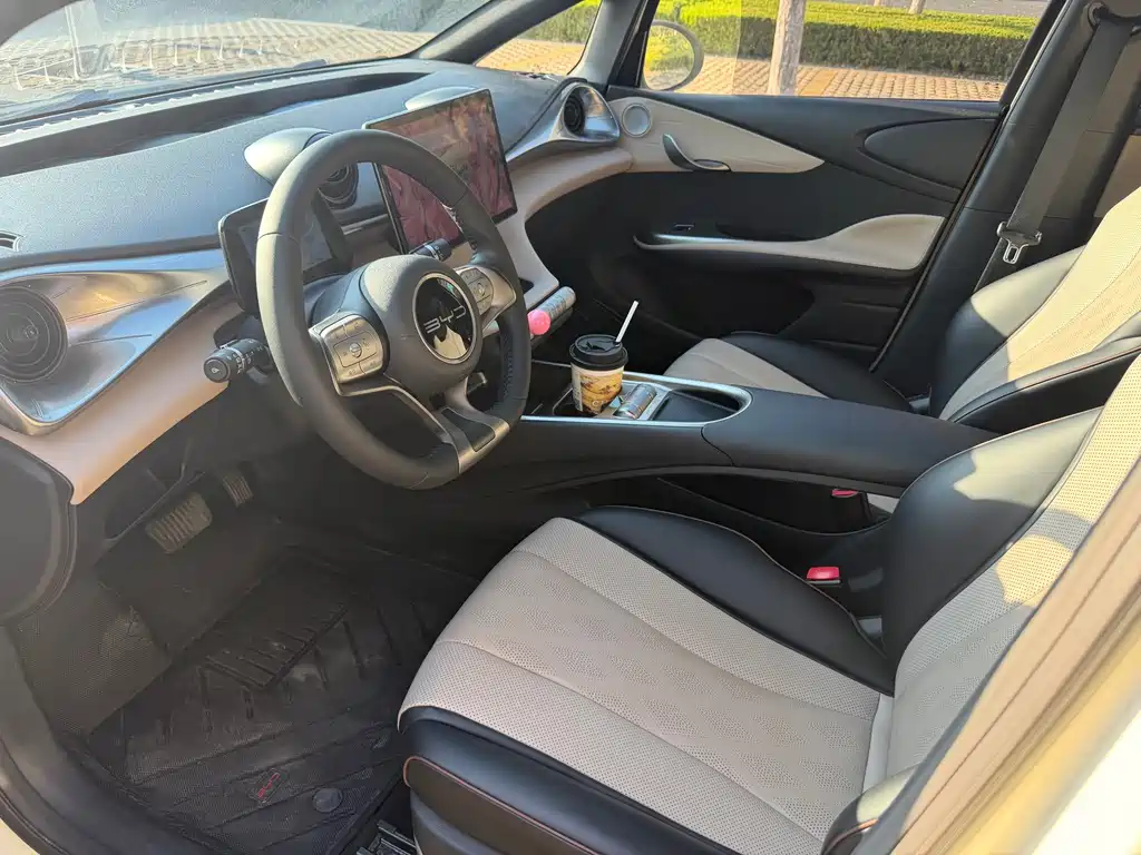 BYD Dolphin — миниатюра 2