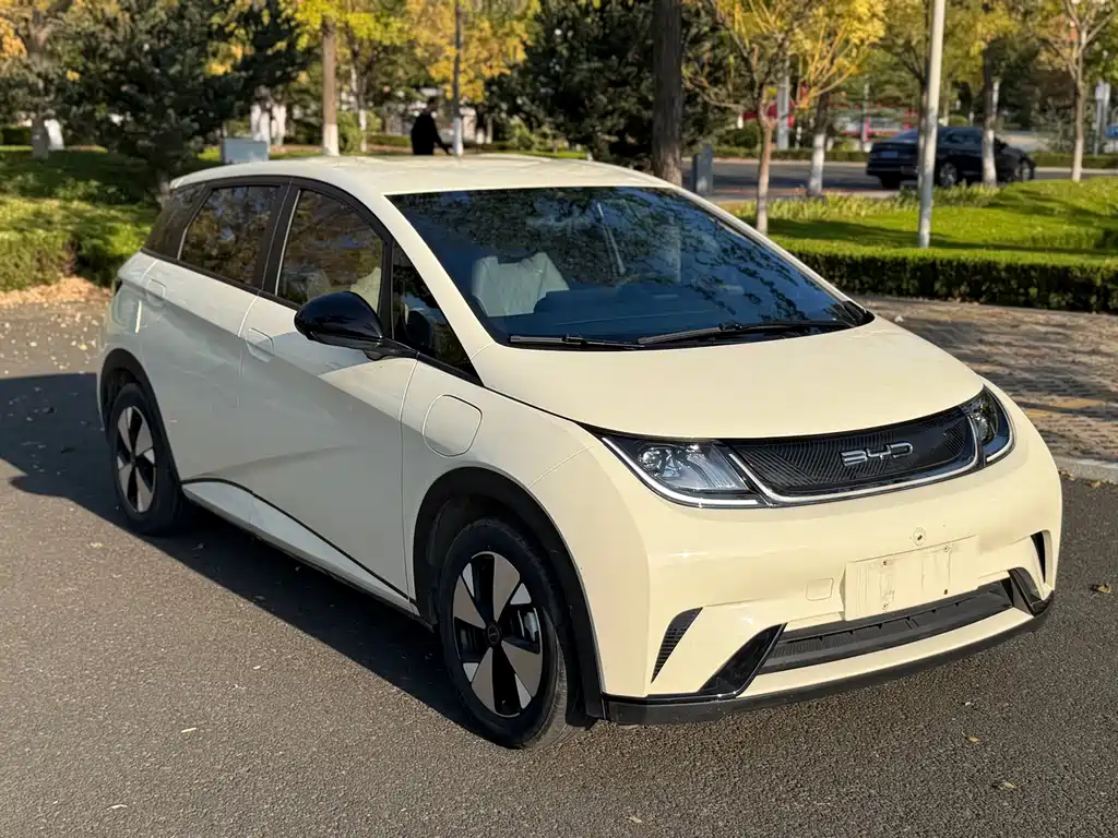 BYD Dolphin — миниатюра 9