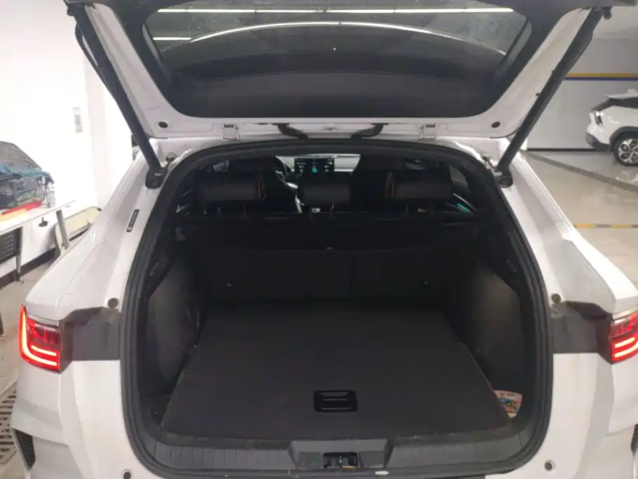 BYD PLUS — миниатюра 4