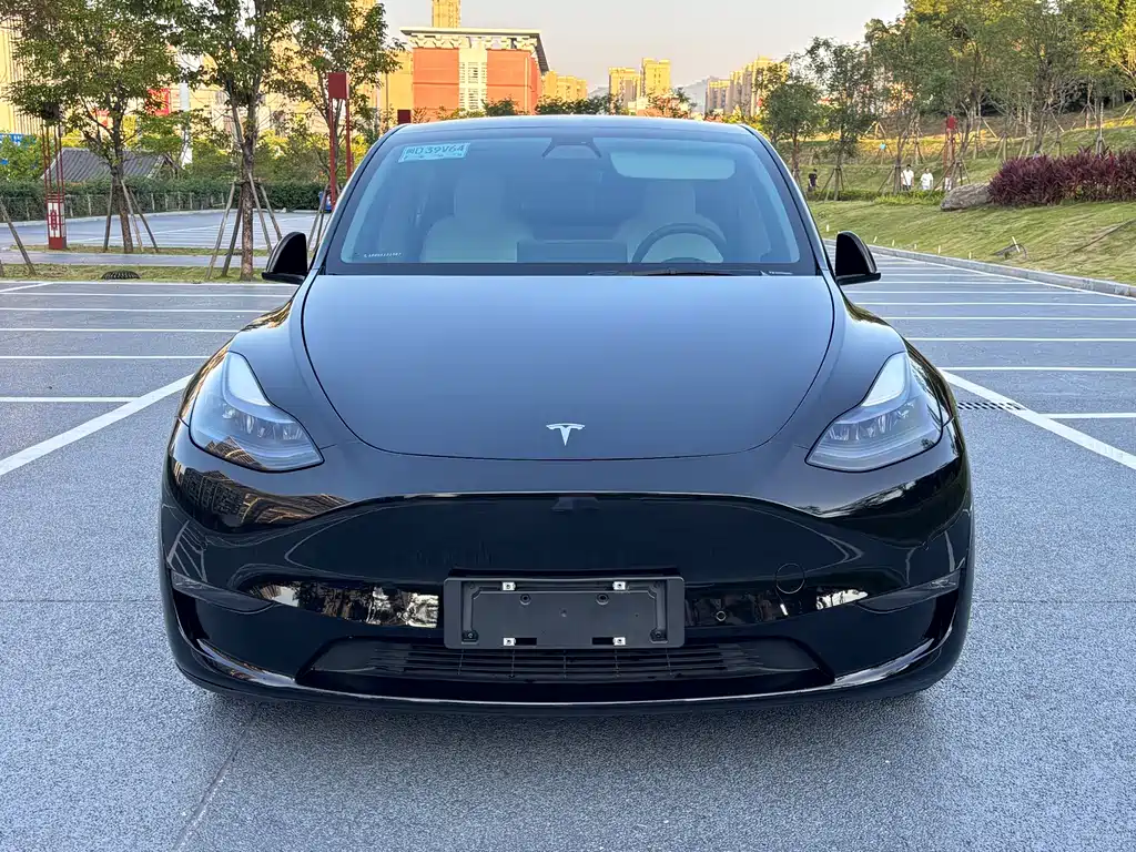 Tesla Model Y — миниатюра 2