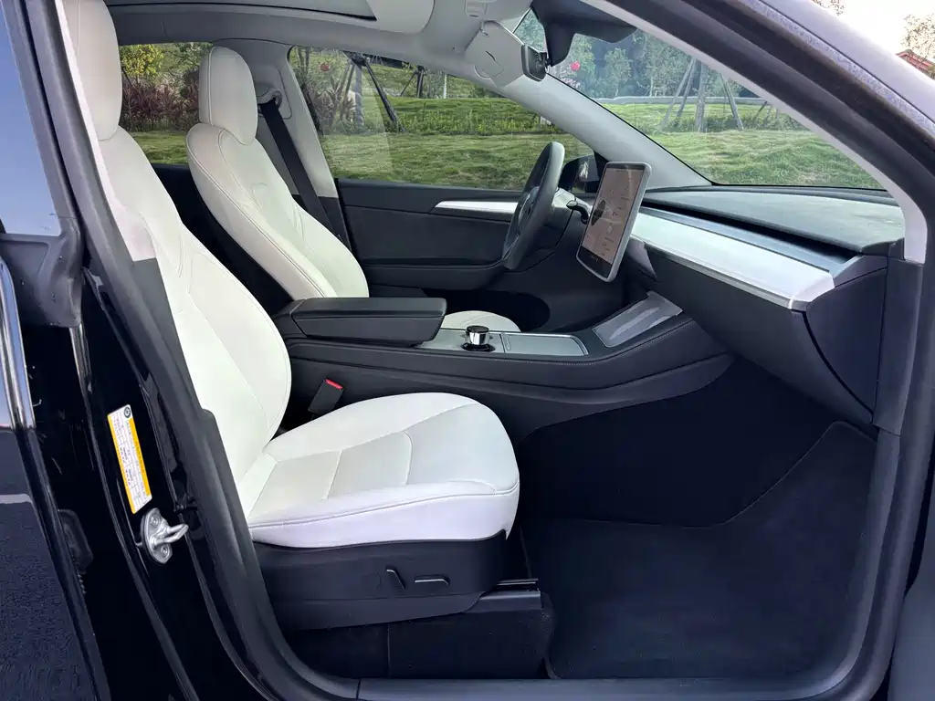 Tesla Model Y — миниатюра 5