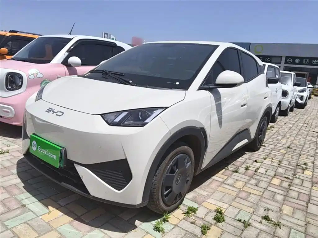 BYD Seagull