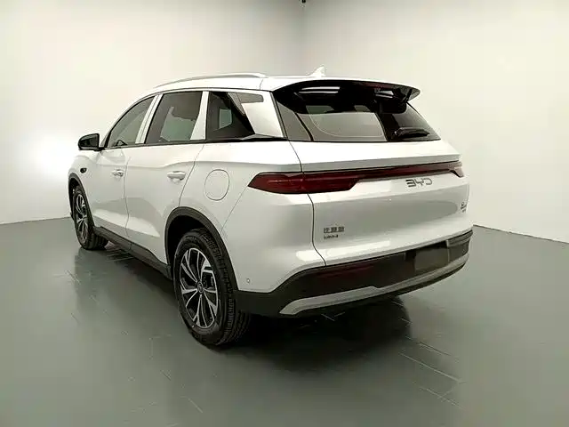 BYD Pro New Energy — миниатюра 5