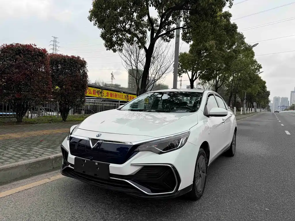 Venucia D60 EV — миниатюра 2