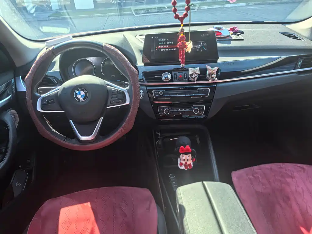 BMW X1 New Energy — миниатюра 10