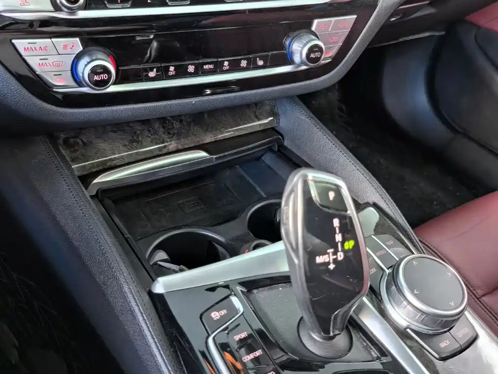 BMW 5 Series 5 2020 530Li Lead M Sport