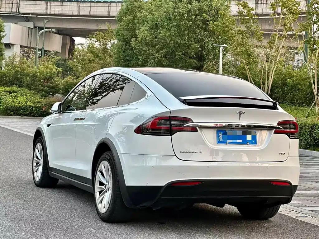 Tesla Model X — миниатюра 4