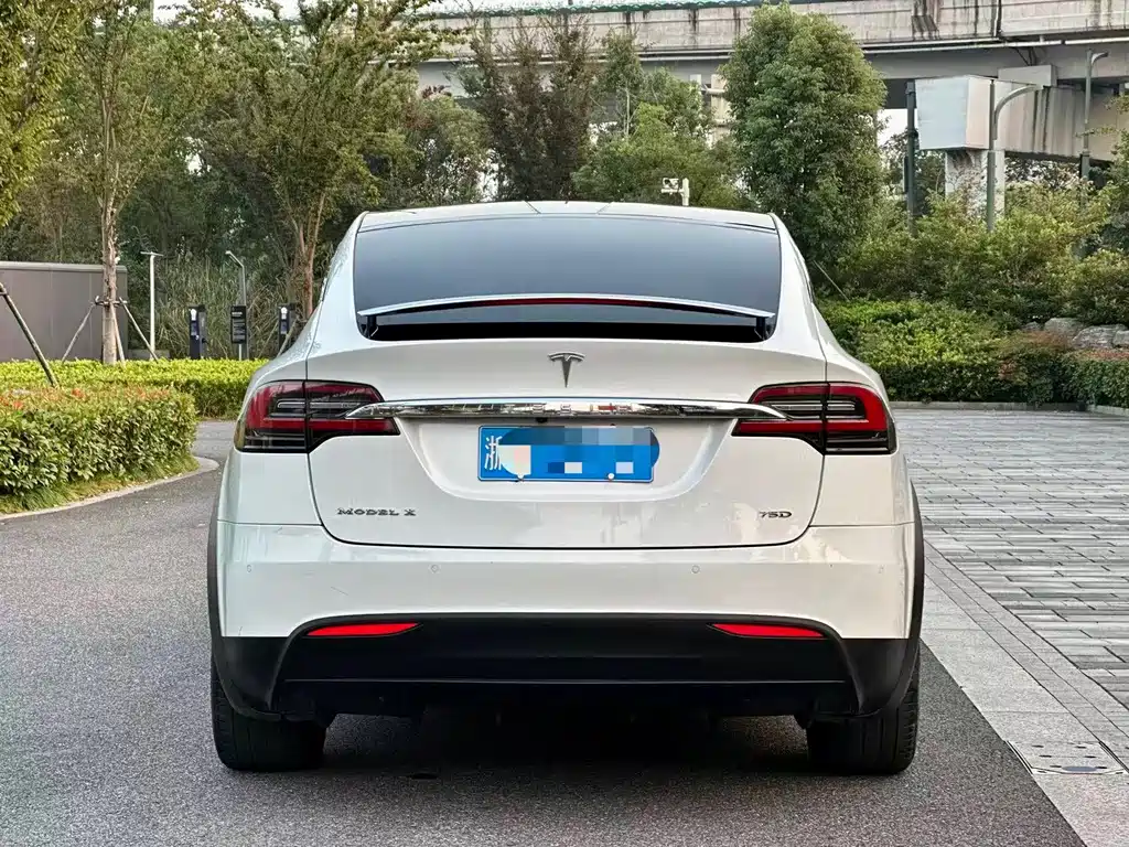 Tesla Model X — миниатюра 5