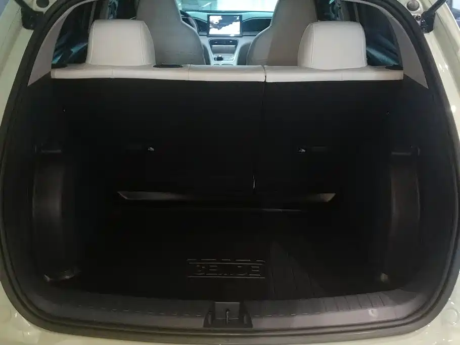 Geely Geome Xingyuan 2025 310km