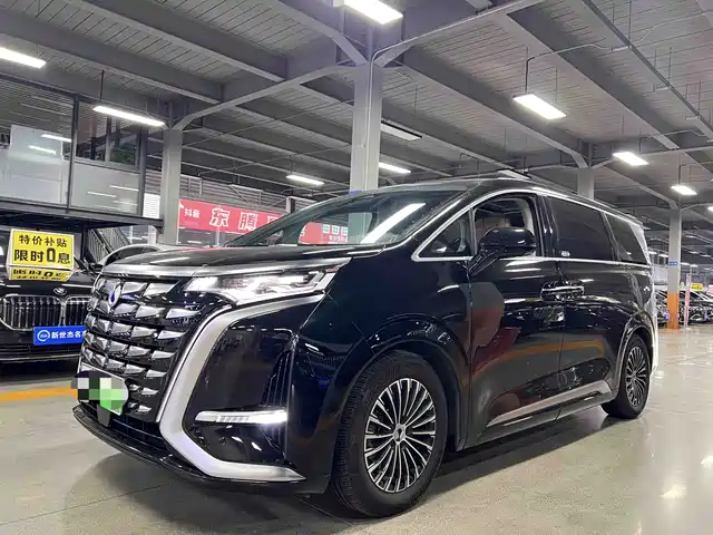 2023 Denza D9