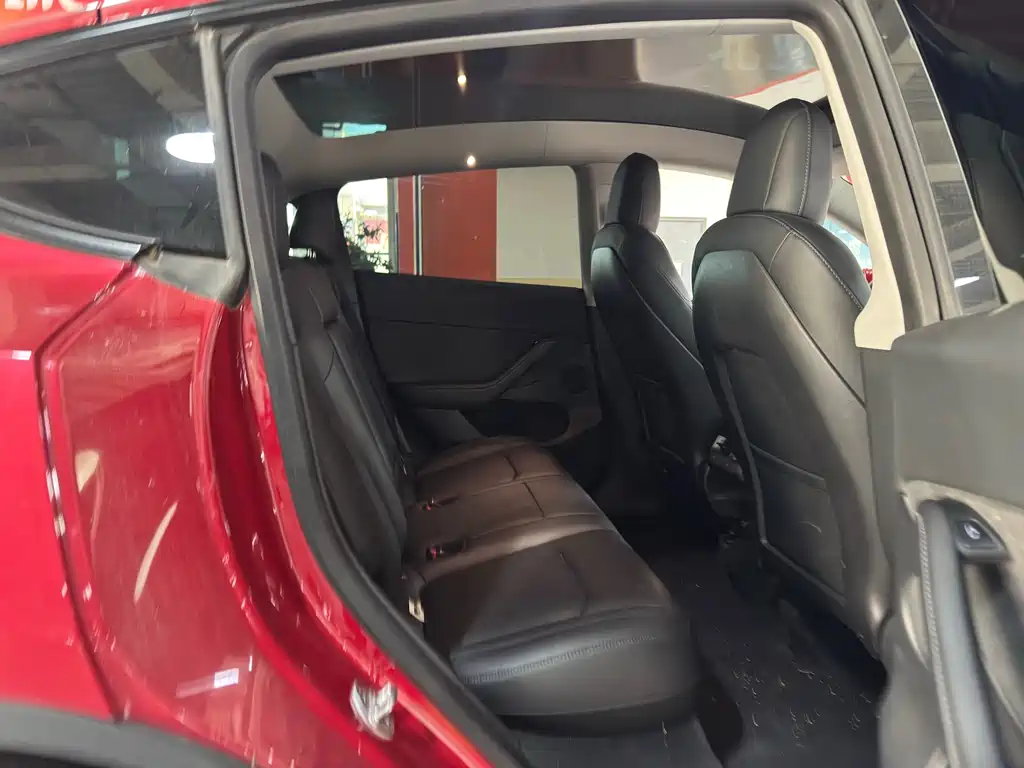 Tesla Model Y — миниатюра 10