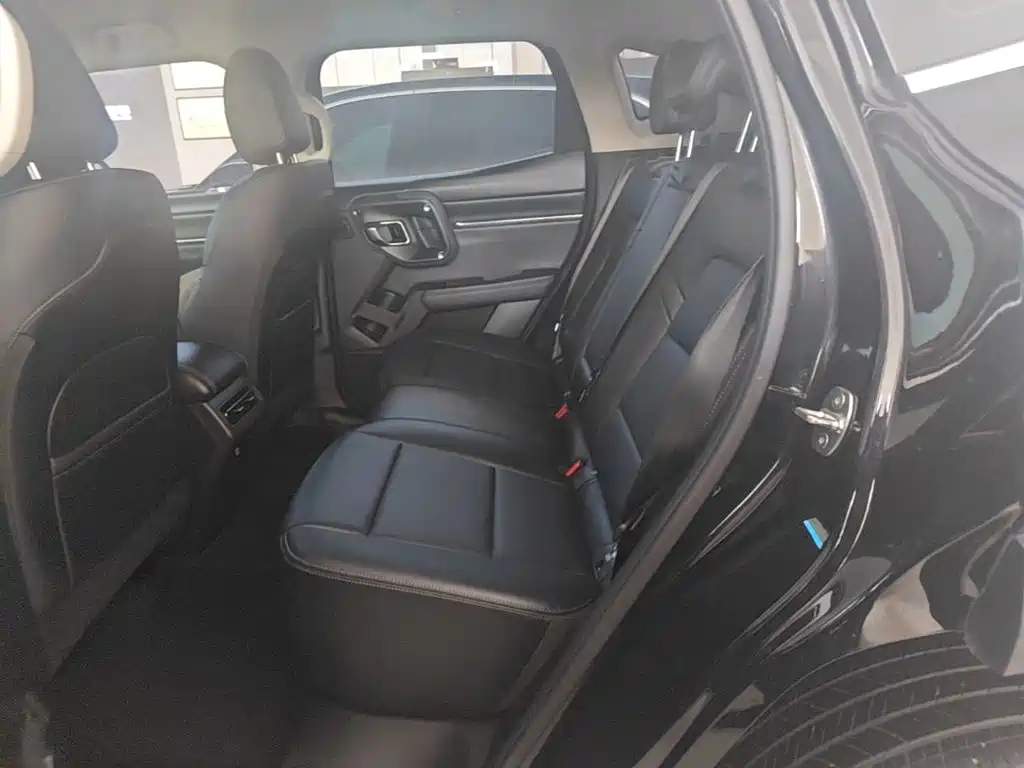 Haval Big Dog PLUS New Energy — миниатюра 17