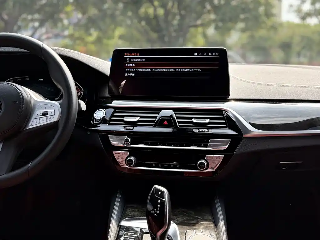 BMW 5 Series — миниатюра 23