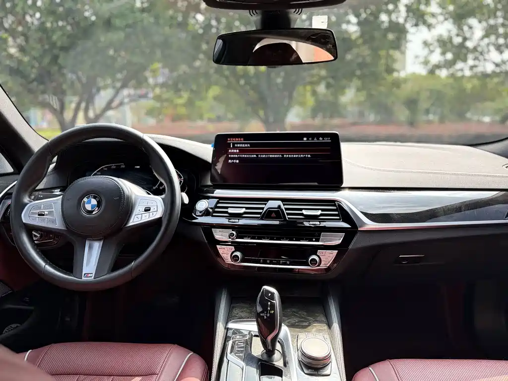 BMW 5 Series — миниатюра 12
