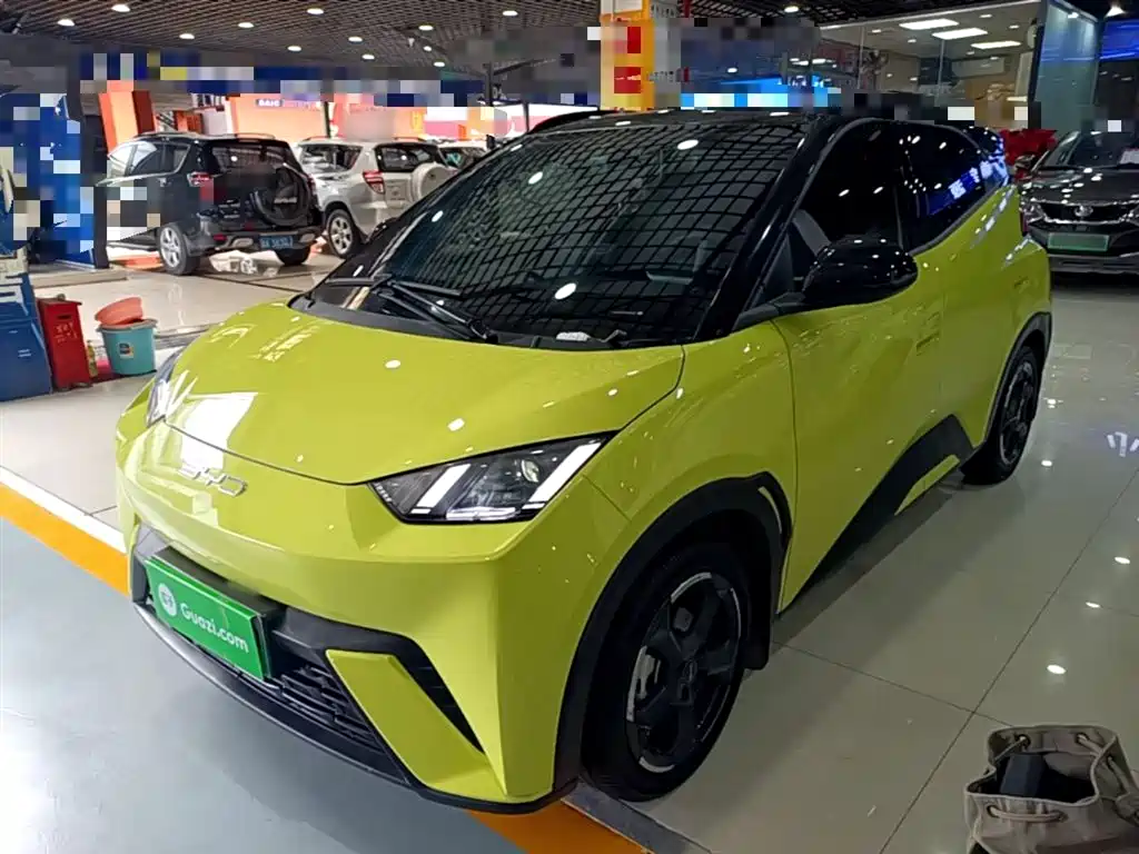 Byd Seagull 2024