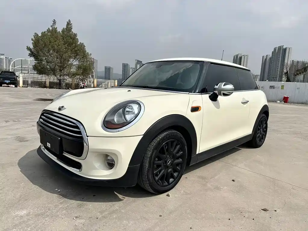 Mini Mini 2017