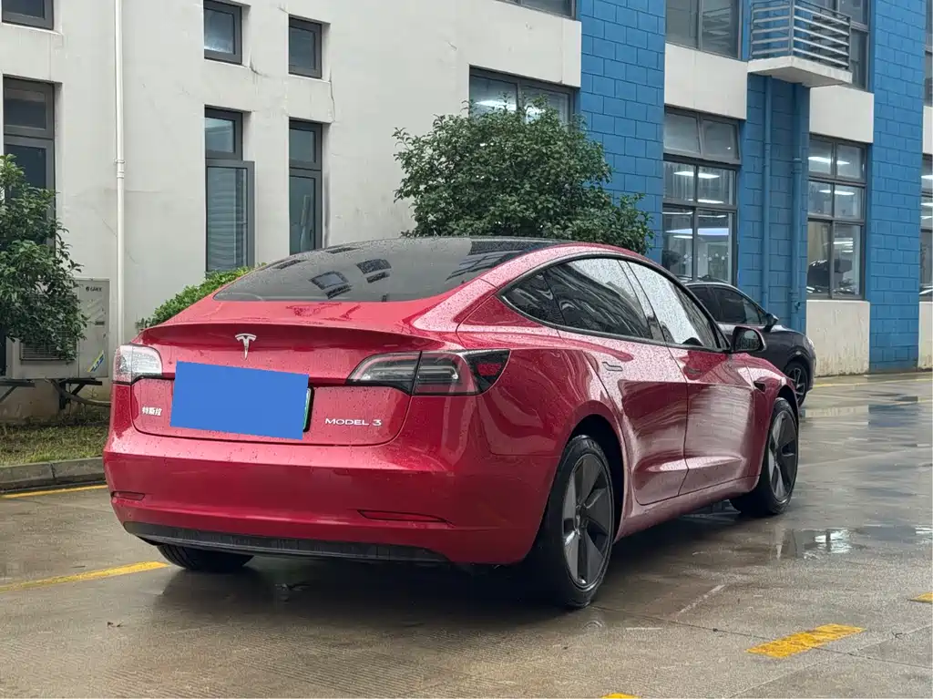 Tesla Model 3 2021 3D6