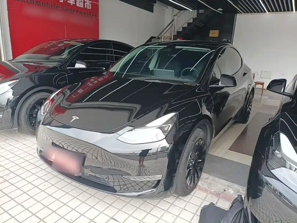 Tesla Model Y 2021 Standard Range RWD Edition