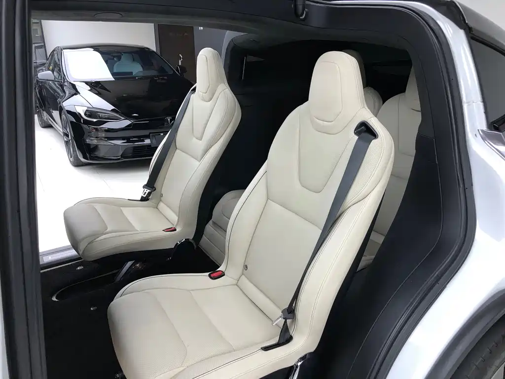 Tesla Model X — миниатюра 11