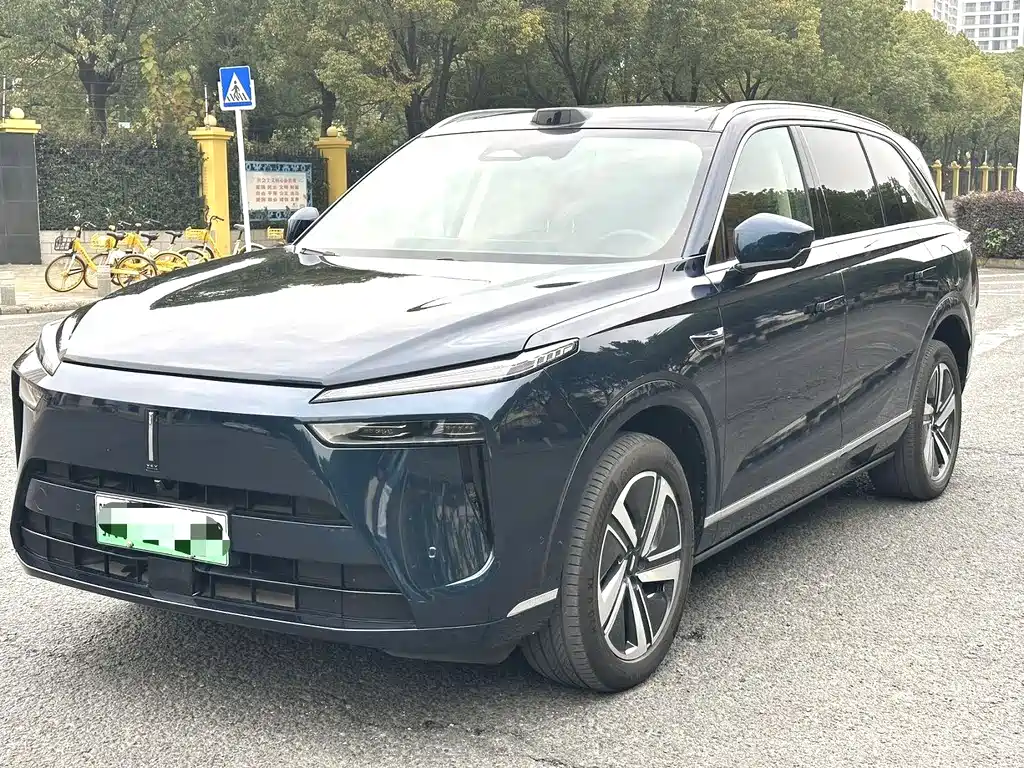 WEI PAI WEI BRAND BLUE MOUNTAIN