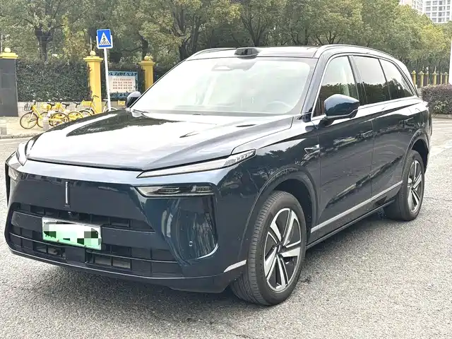 WEI PAI WEI BRAND BLUE MOUNTAIN 2025